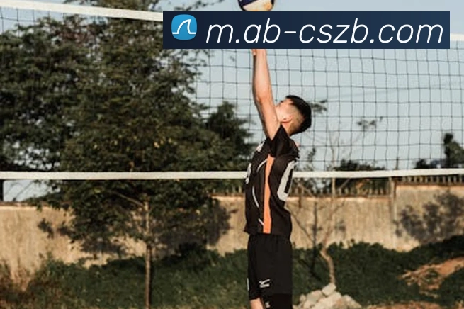 彩神争霸平台生态图