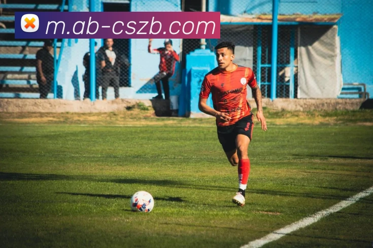 辅助工具 辅助工具